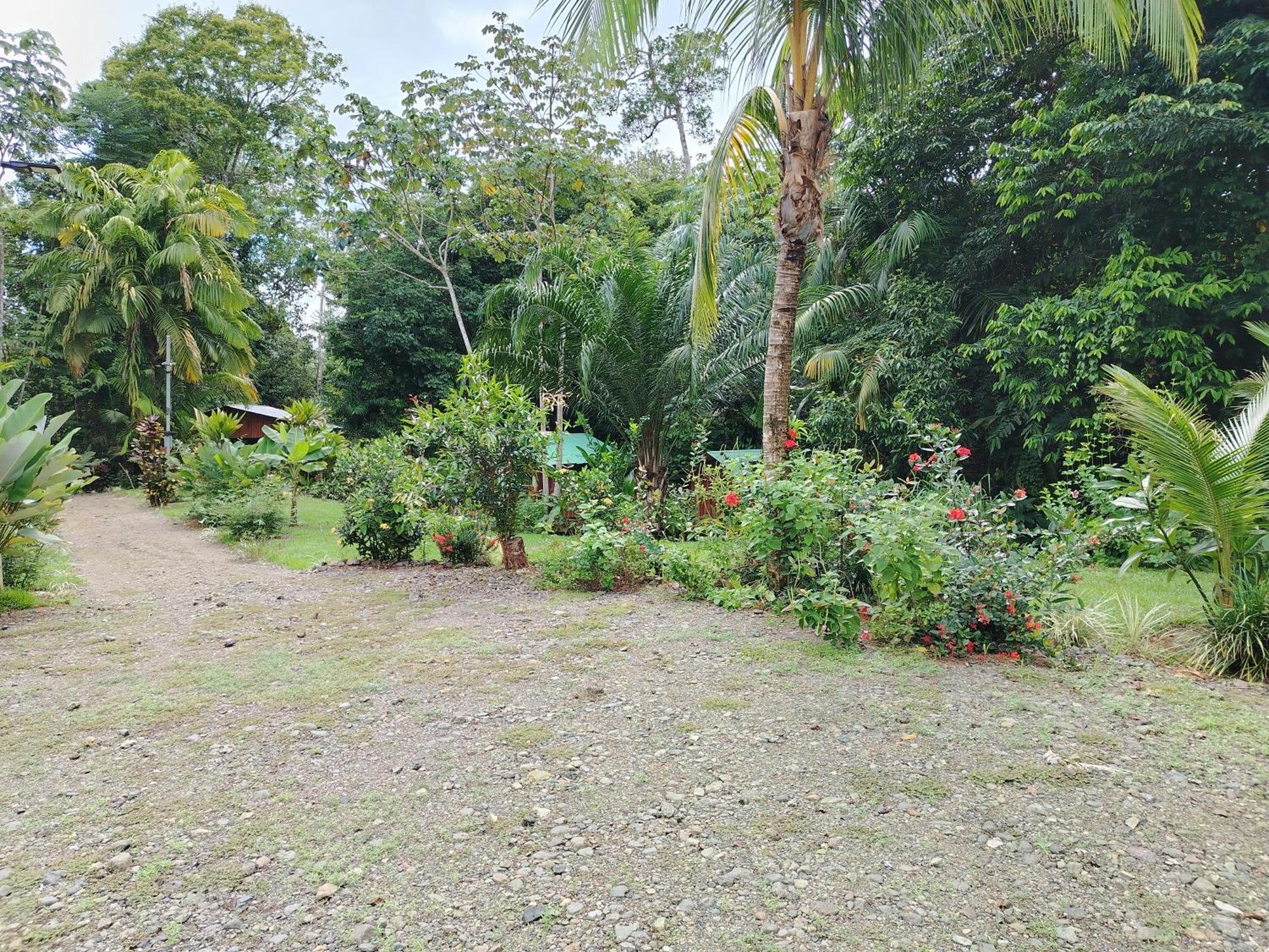 Citronela Lodge Corcovado Drakes Bay Exterior foto