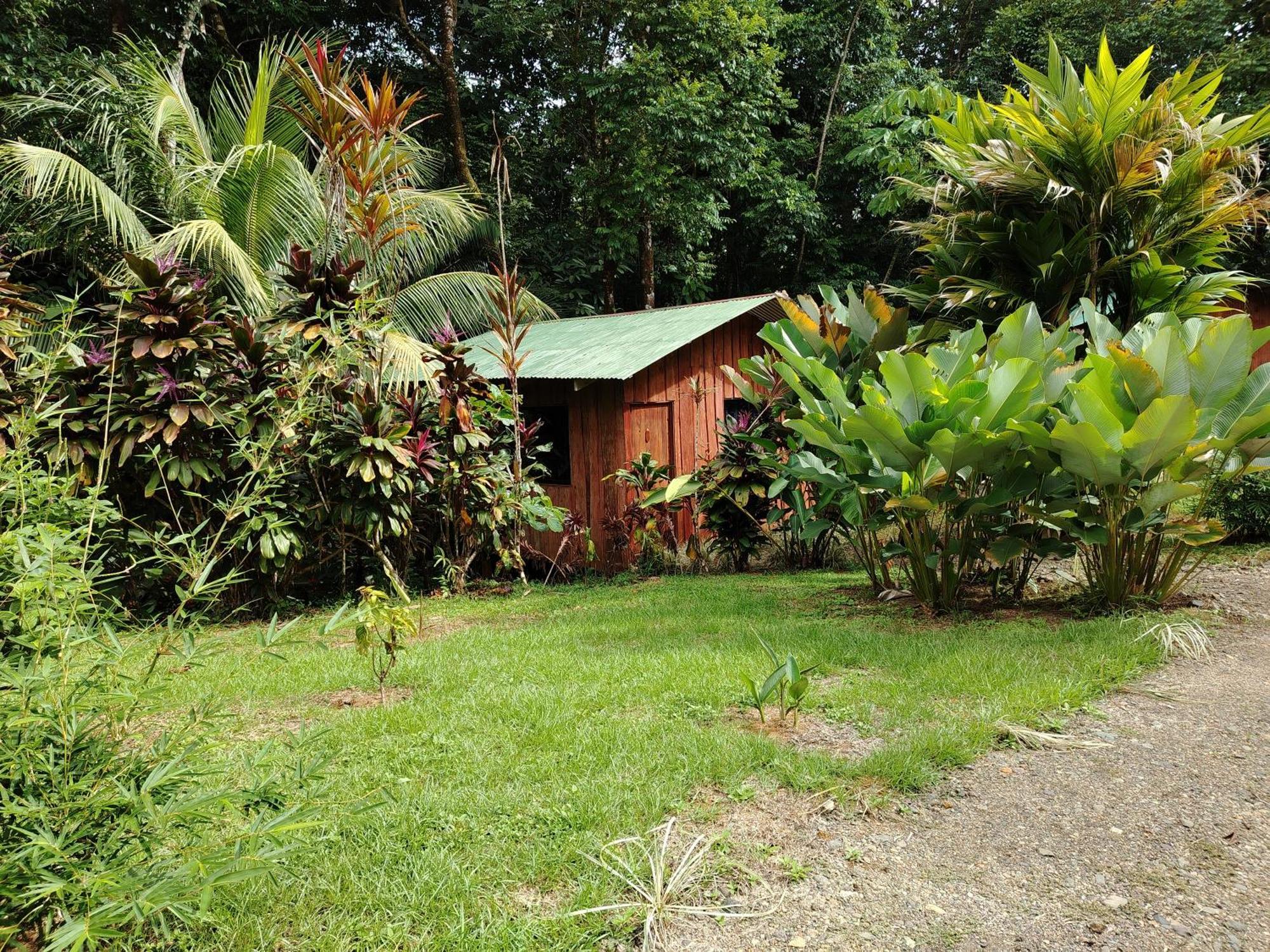 Citronela Lodge Corcovado Drakes Bay Exterior foto