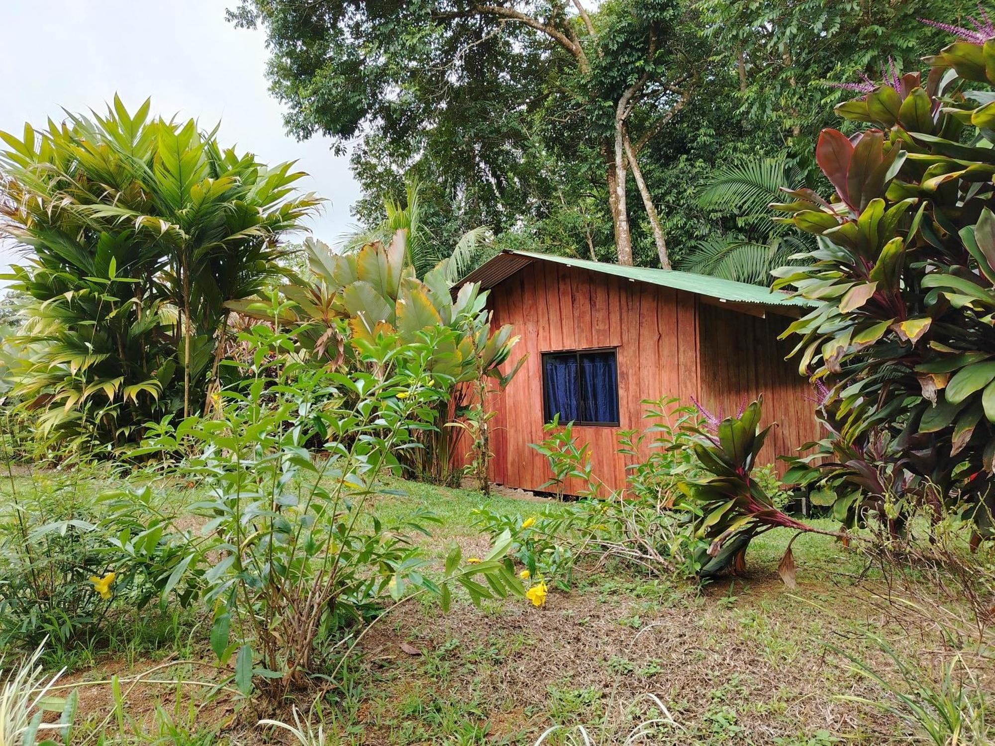 Citronela Lodge Corcovado Drakes Bay Exterior foto