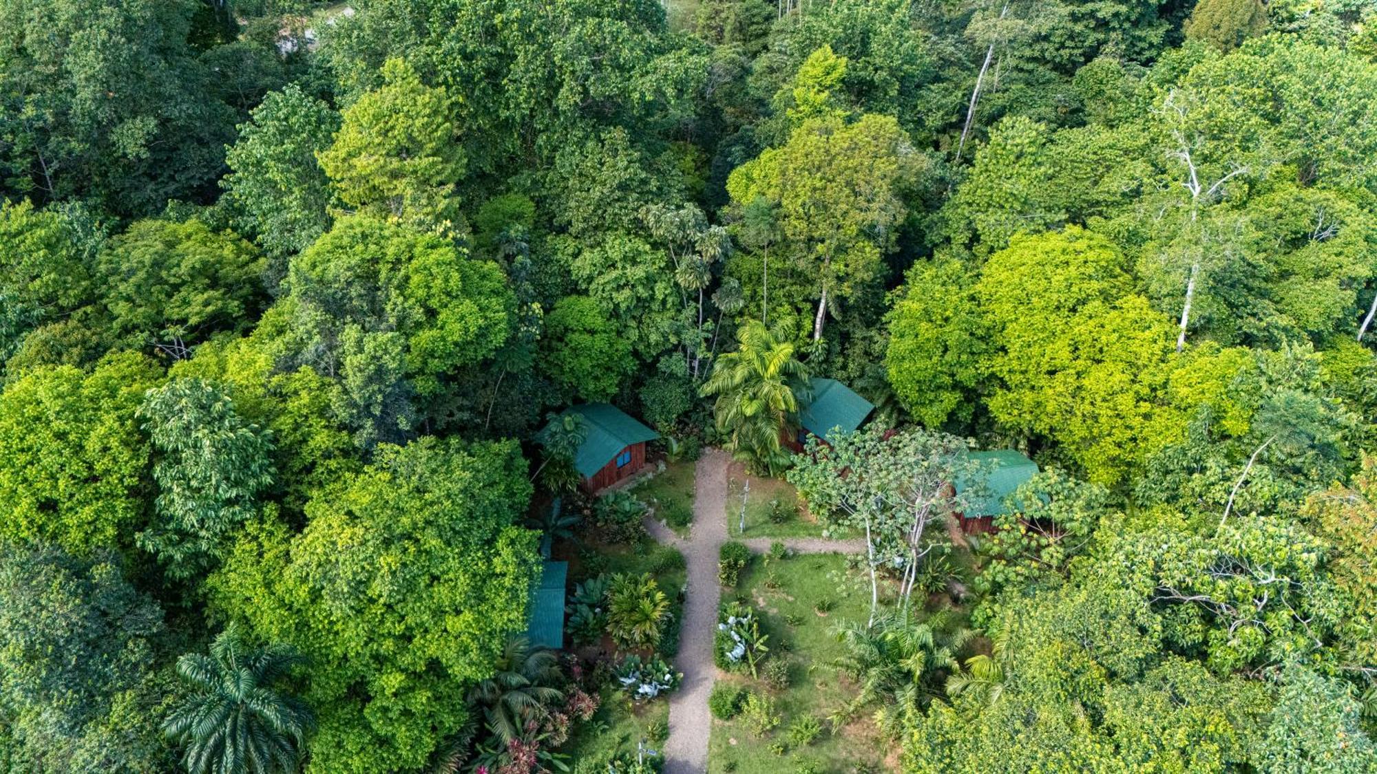 Citronela Lodge Corcovado Drakes Bay Exterior foto
