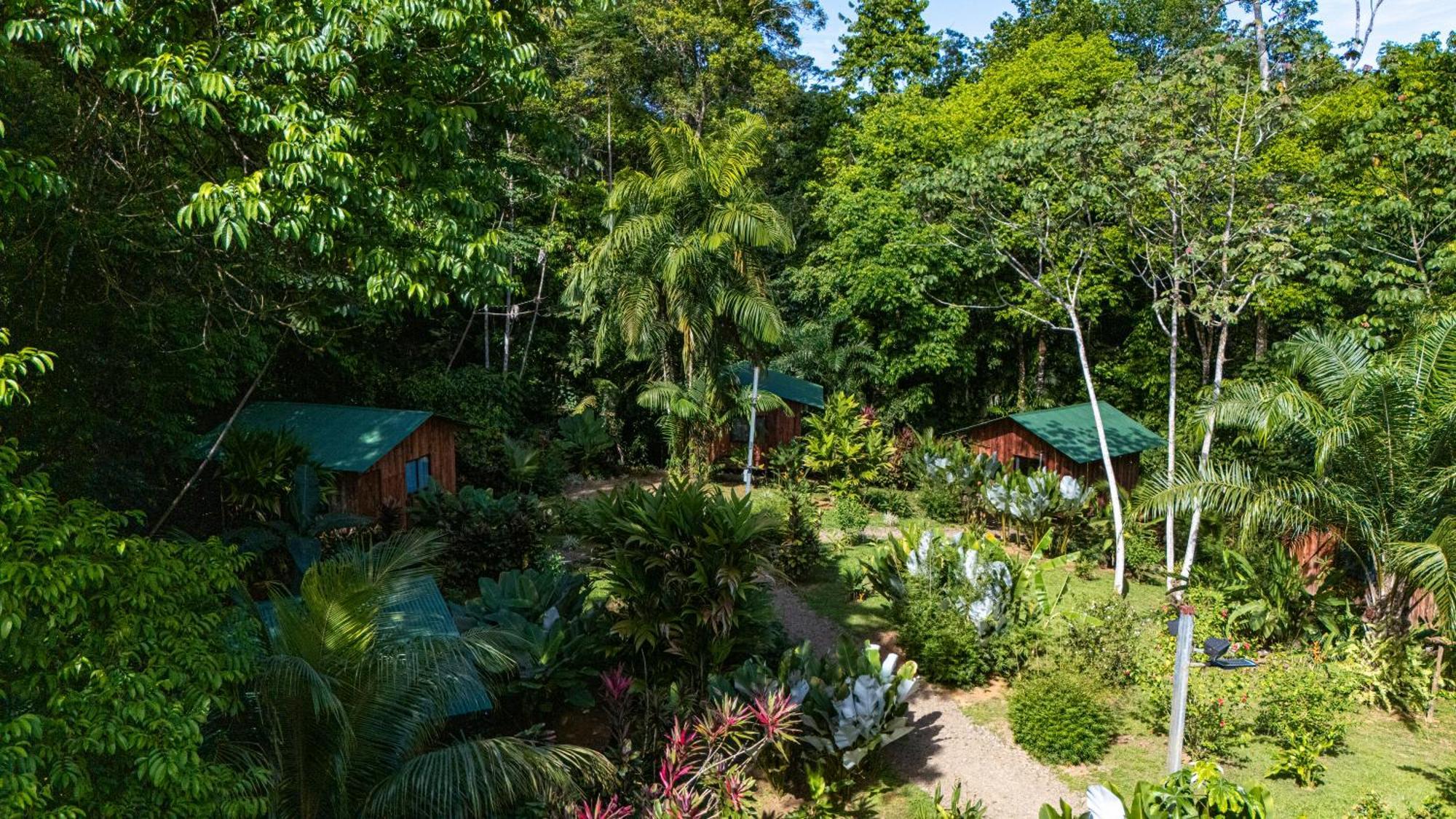 Citronela Lodge Corcovado Drakes Bay Exterior foto