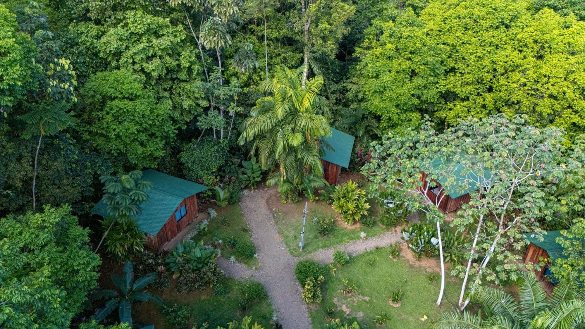 Citronela Lodge Corcovado Drakes Bay Exterior foto