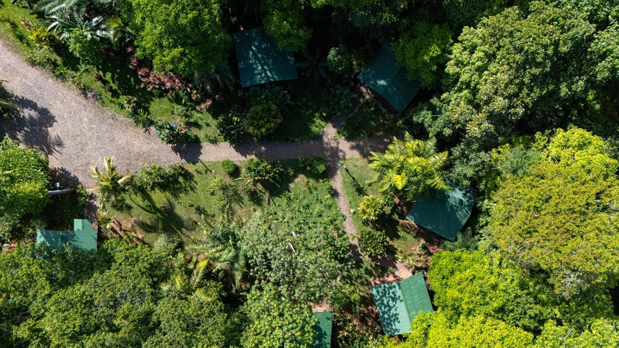 Citronela Lodge Corcovado Drakes Bay Exterior foto