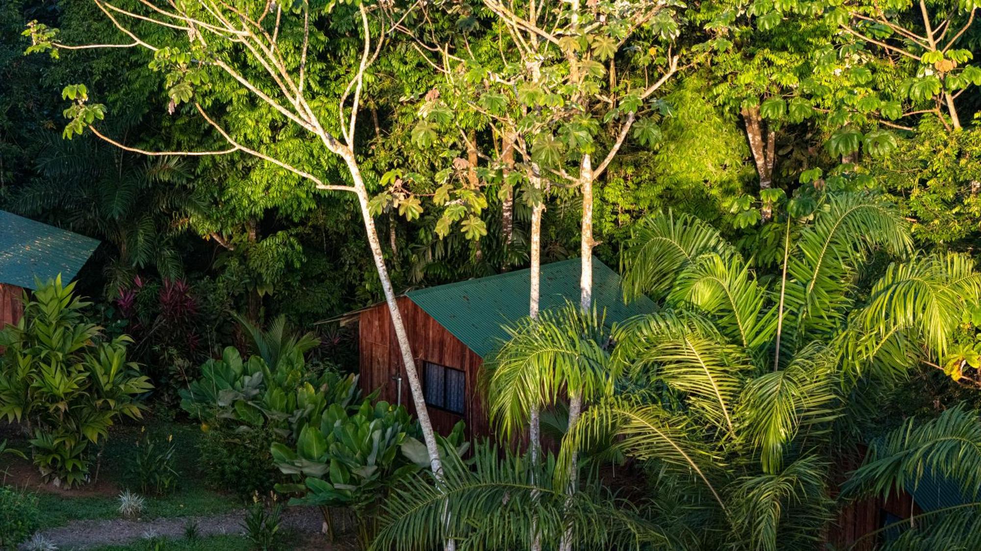 Citronela Lodge Corcovado Drakes Bay Exterior foto