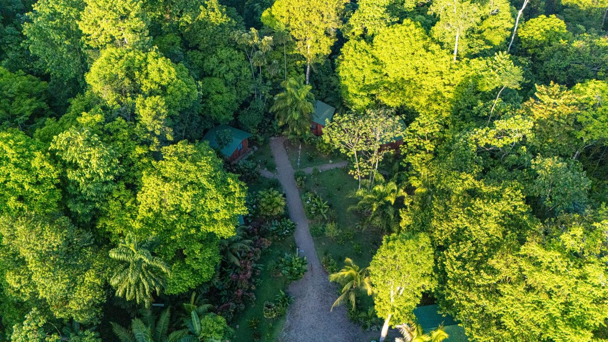 Citronela Lodge Corcovado Drakes Bay Exterior foto