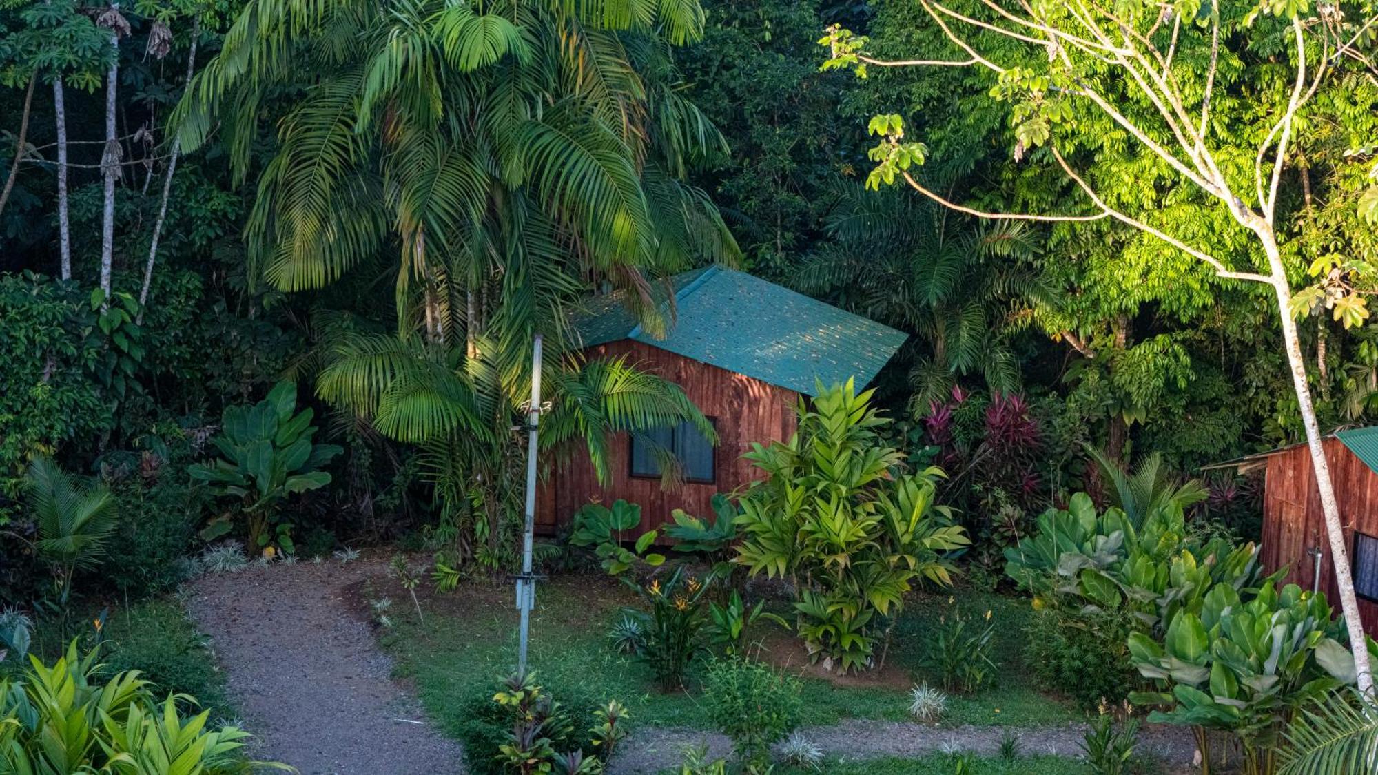 Citronela Lodge Corcovado Drakes Bay Exterior foto