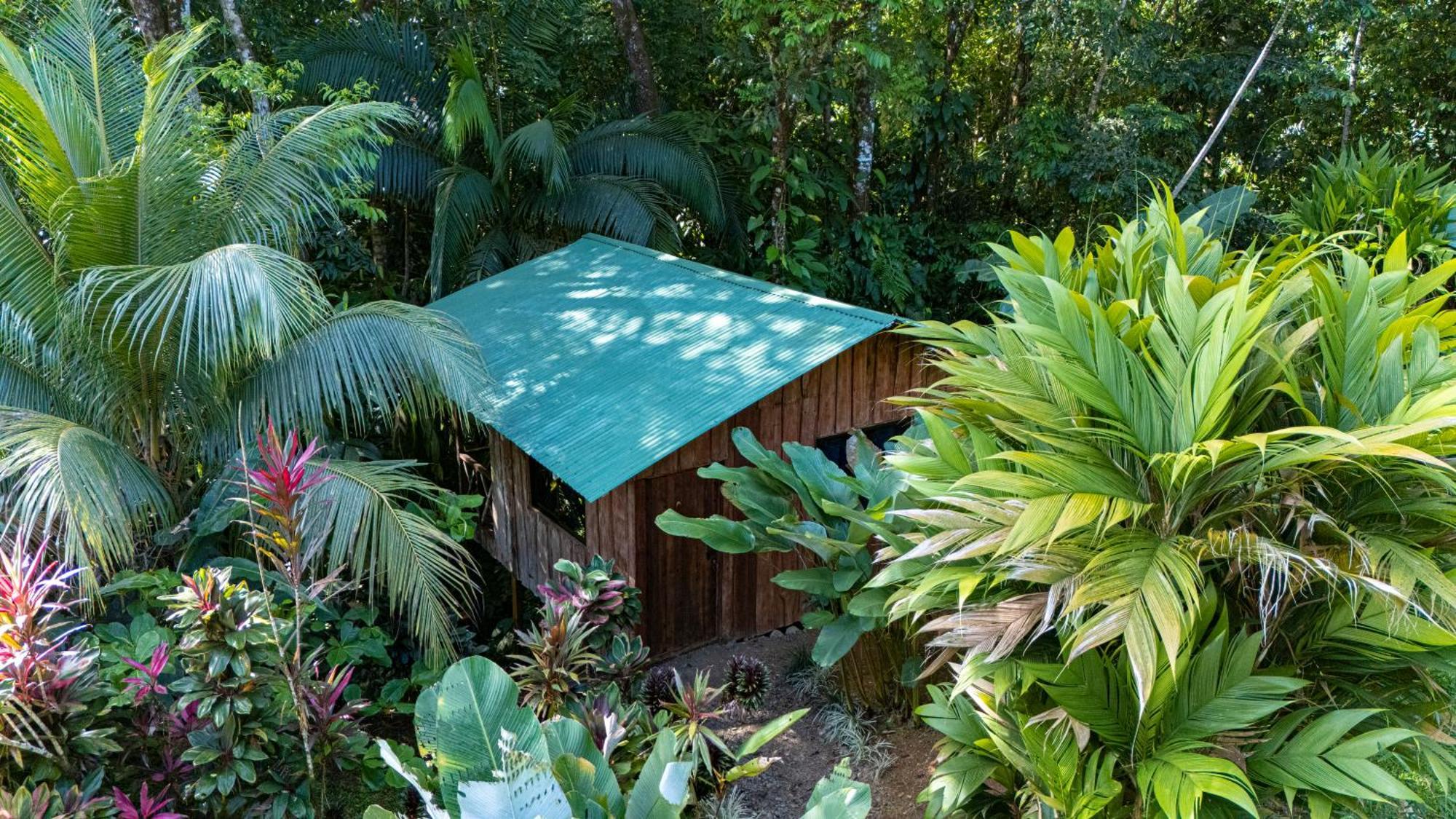 Citronela Lodge Corcovado Drakes Bay Exterior foto