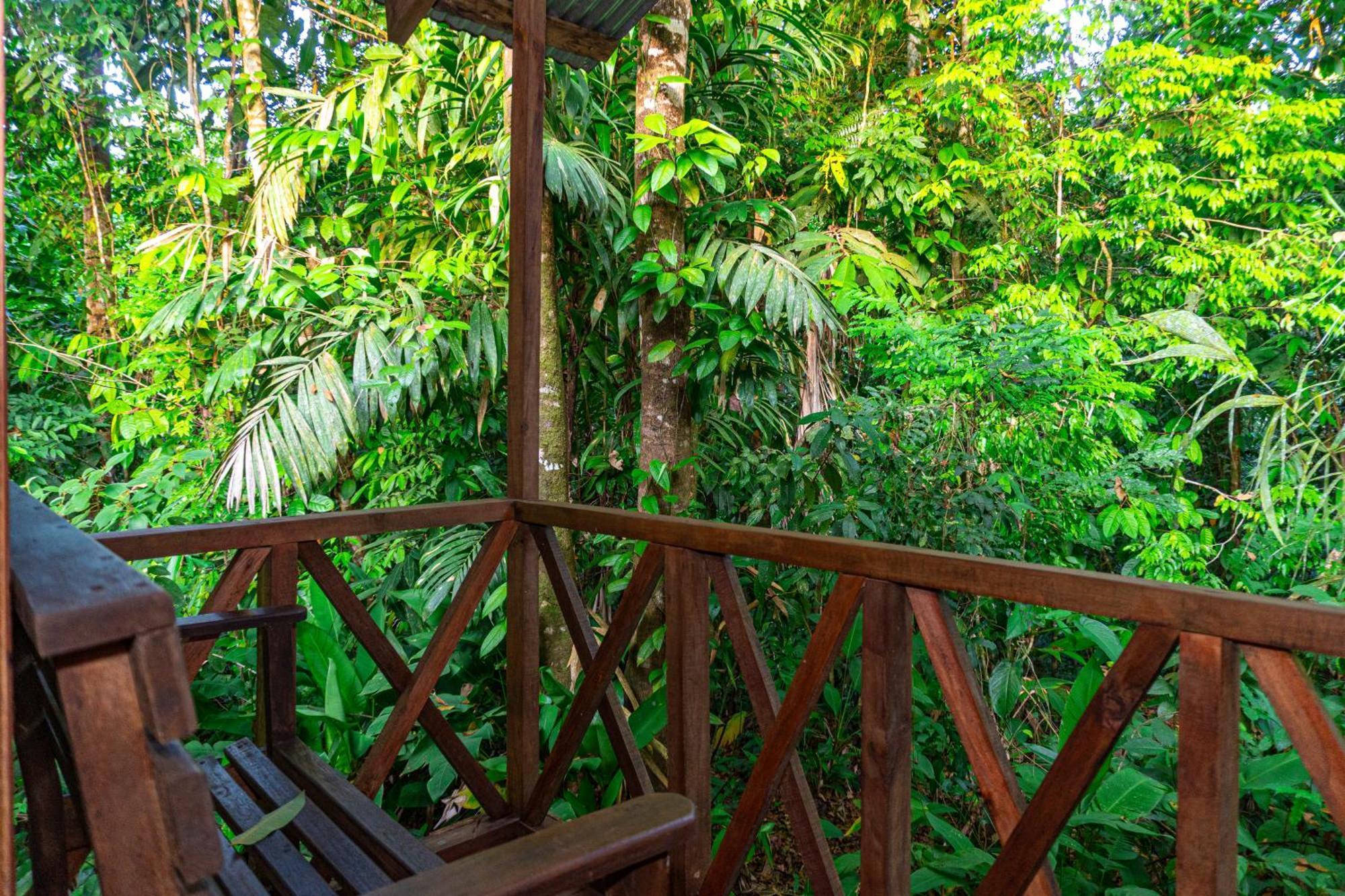 Citronela Lodge Corcovado Drakes Bay Exterior foto