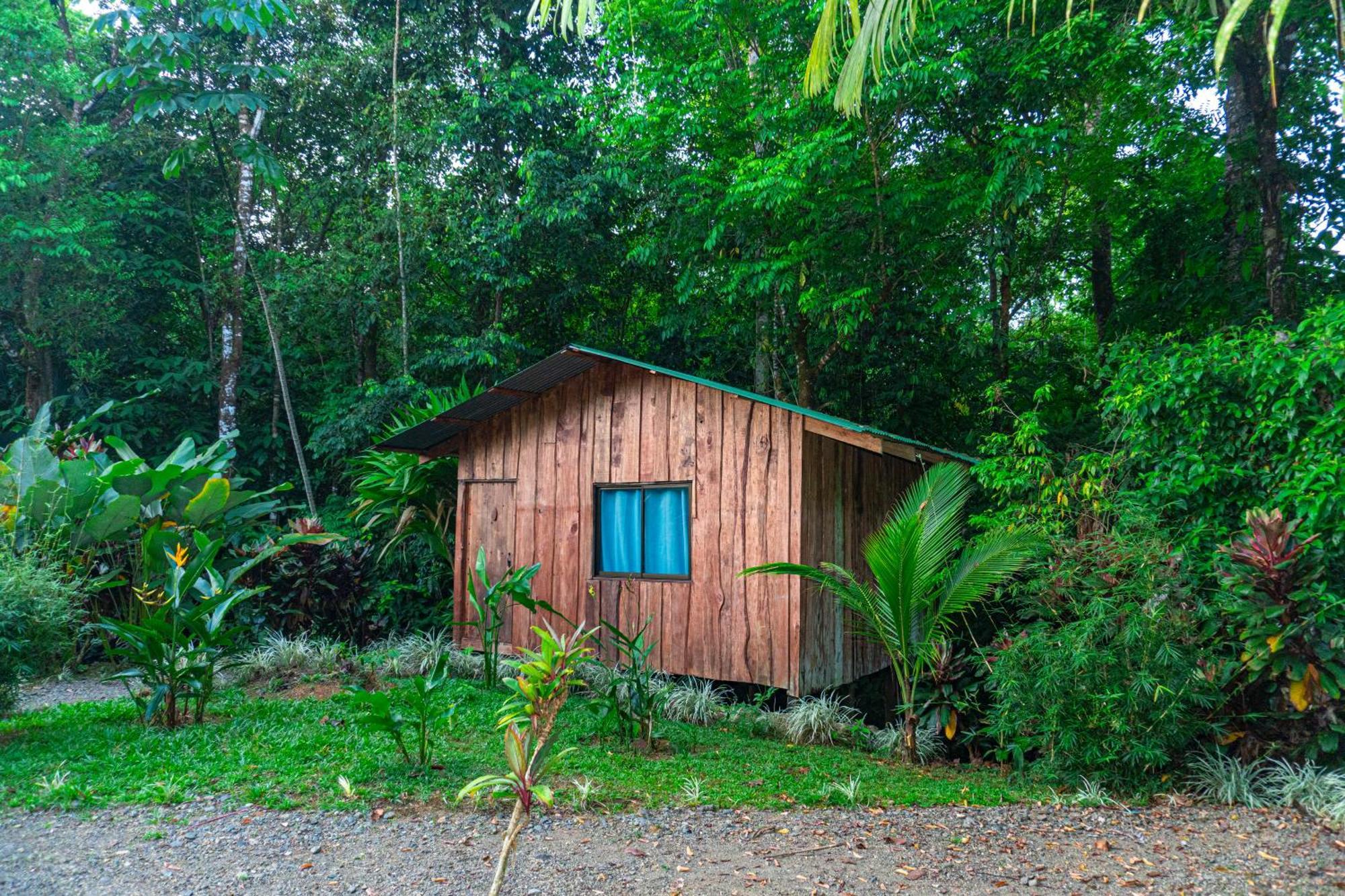 Citronela Lodge Corcovado Drakes Bay Exterior foto