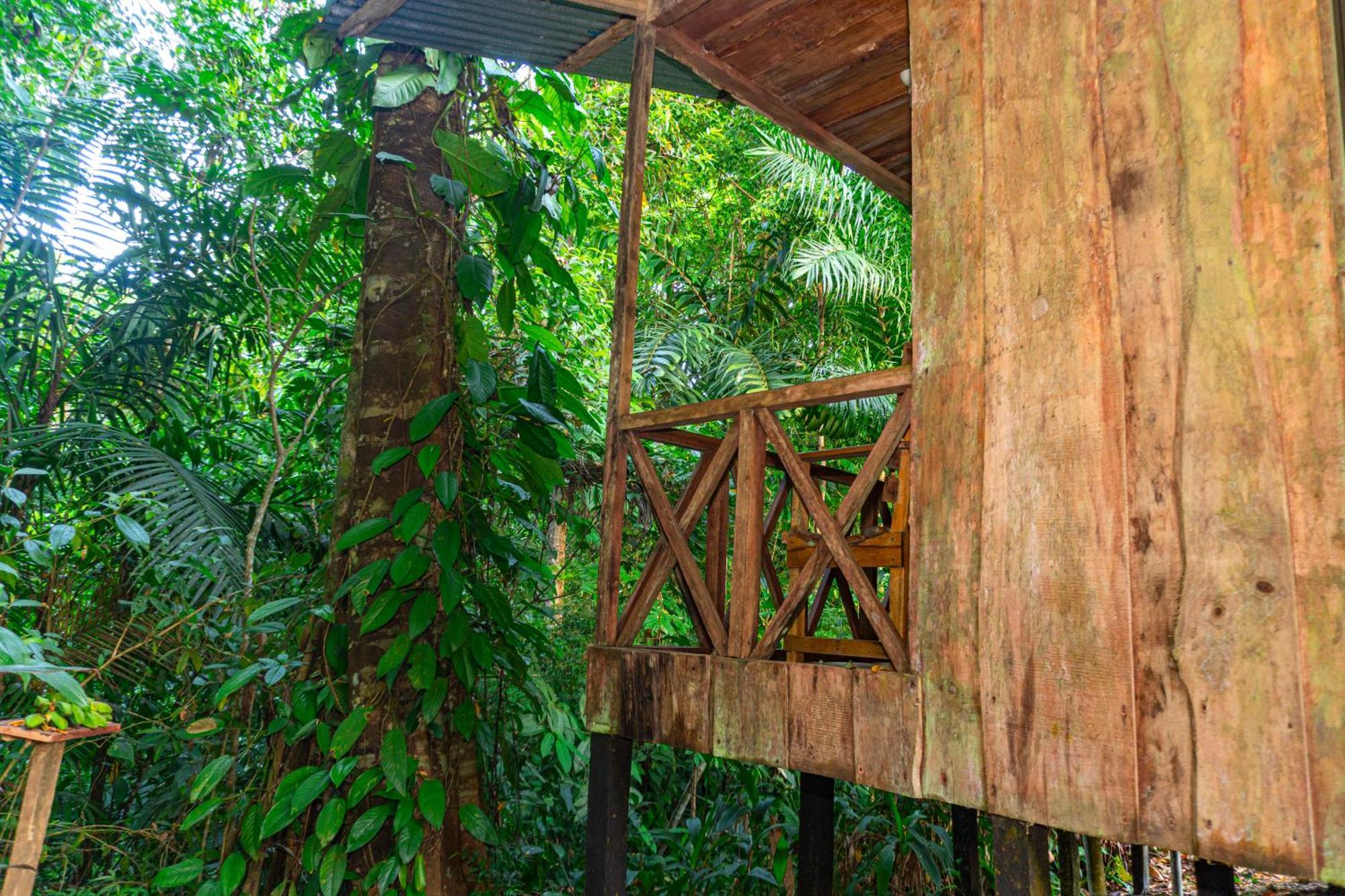 Citronela Lodge Corcovado Drakes Bay Exterior foto