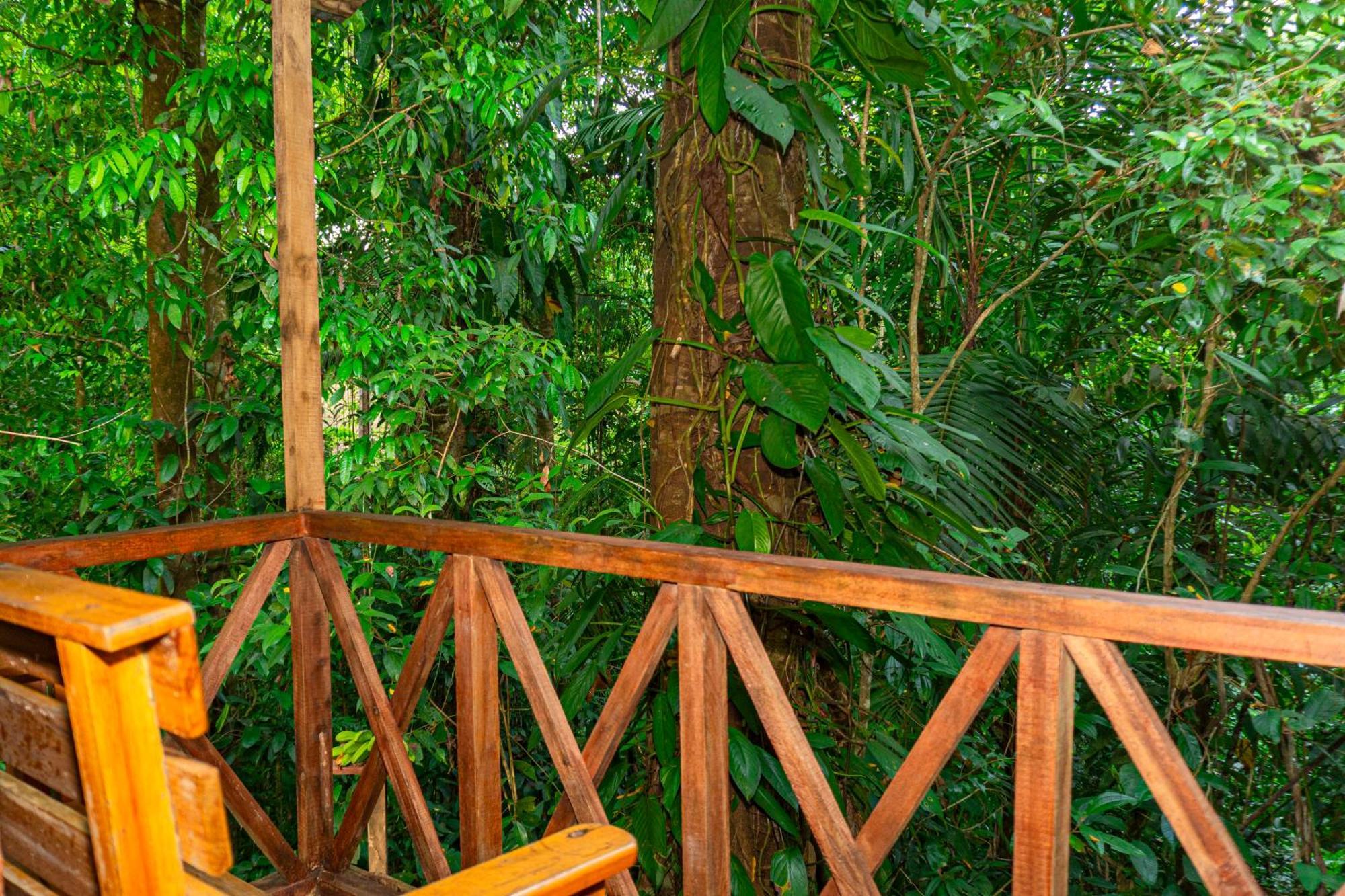 Citronela Lodge Corcovado Drakes Bay Exterior foto