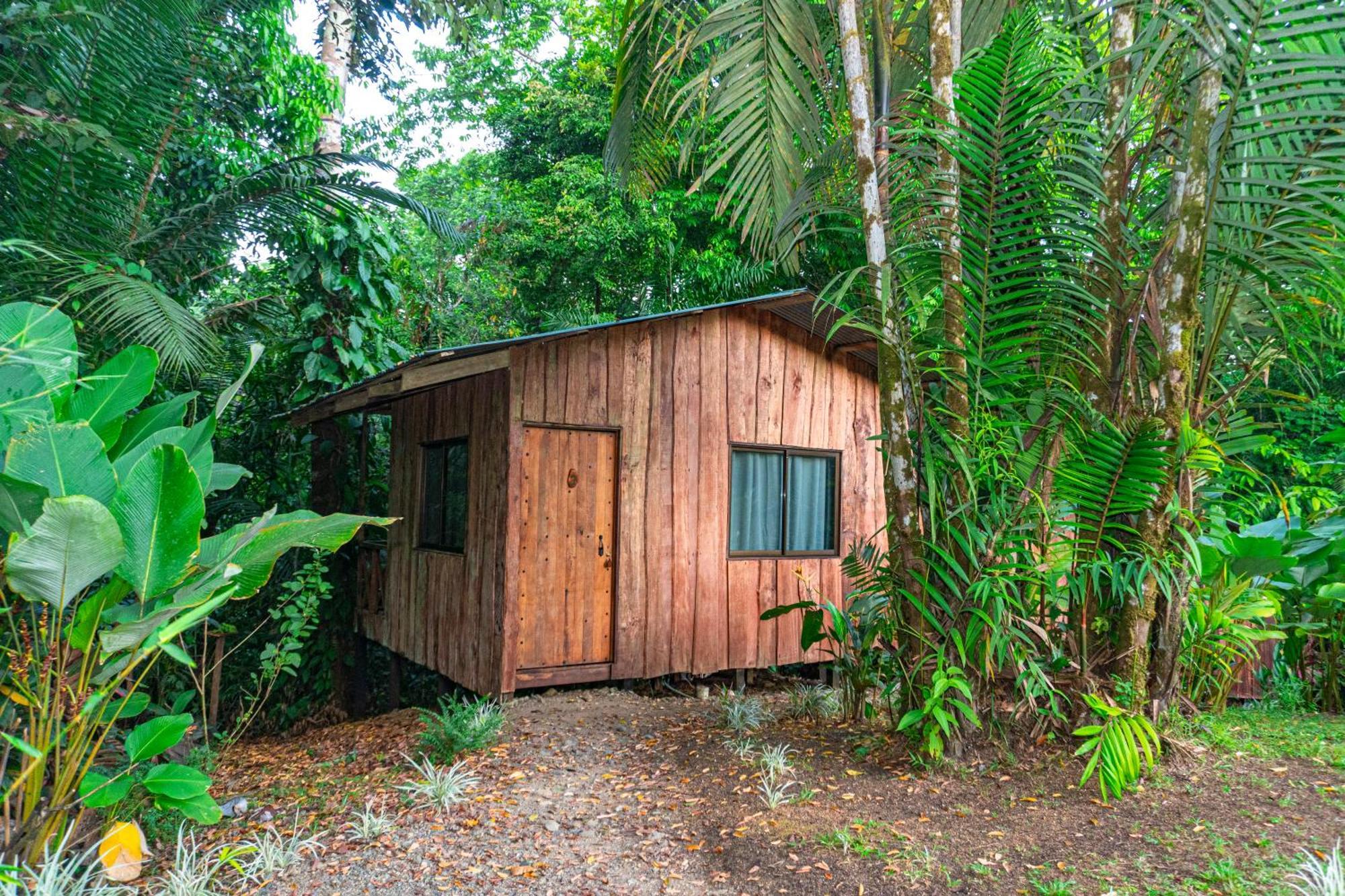 Citronela Lodge Corcovado Drakes Bay Exterior foto