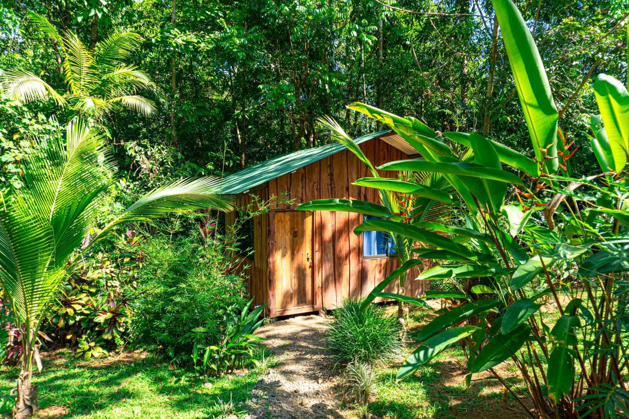 Citronela Lodge Corcovado Drakes Bay Exterior foto