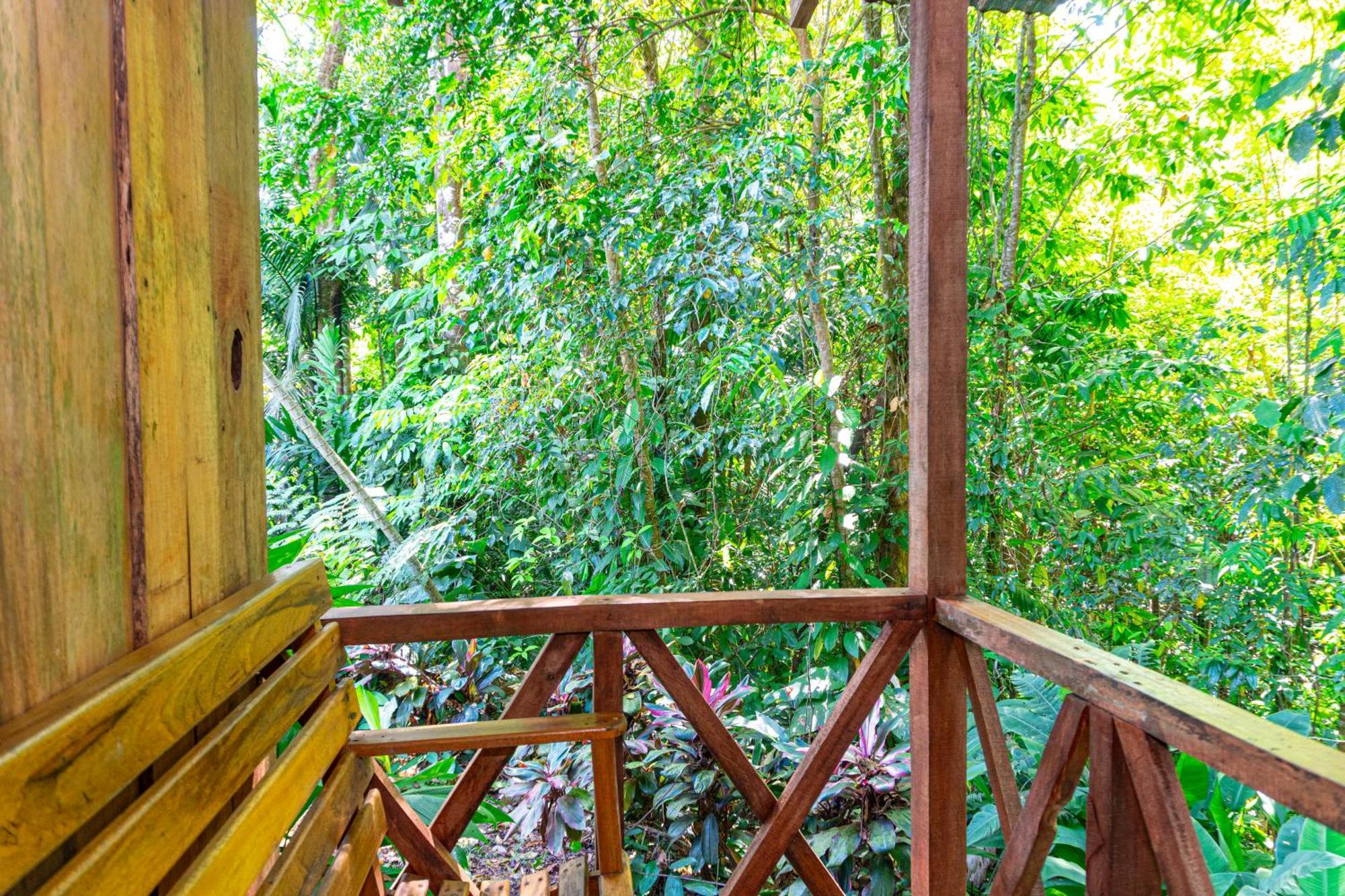 Citronela Lodge Corcovado Drakes Bay Exterior foto