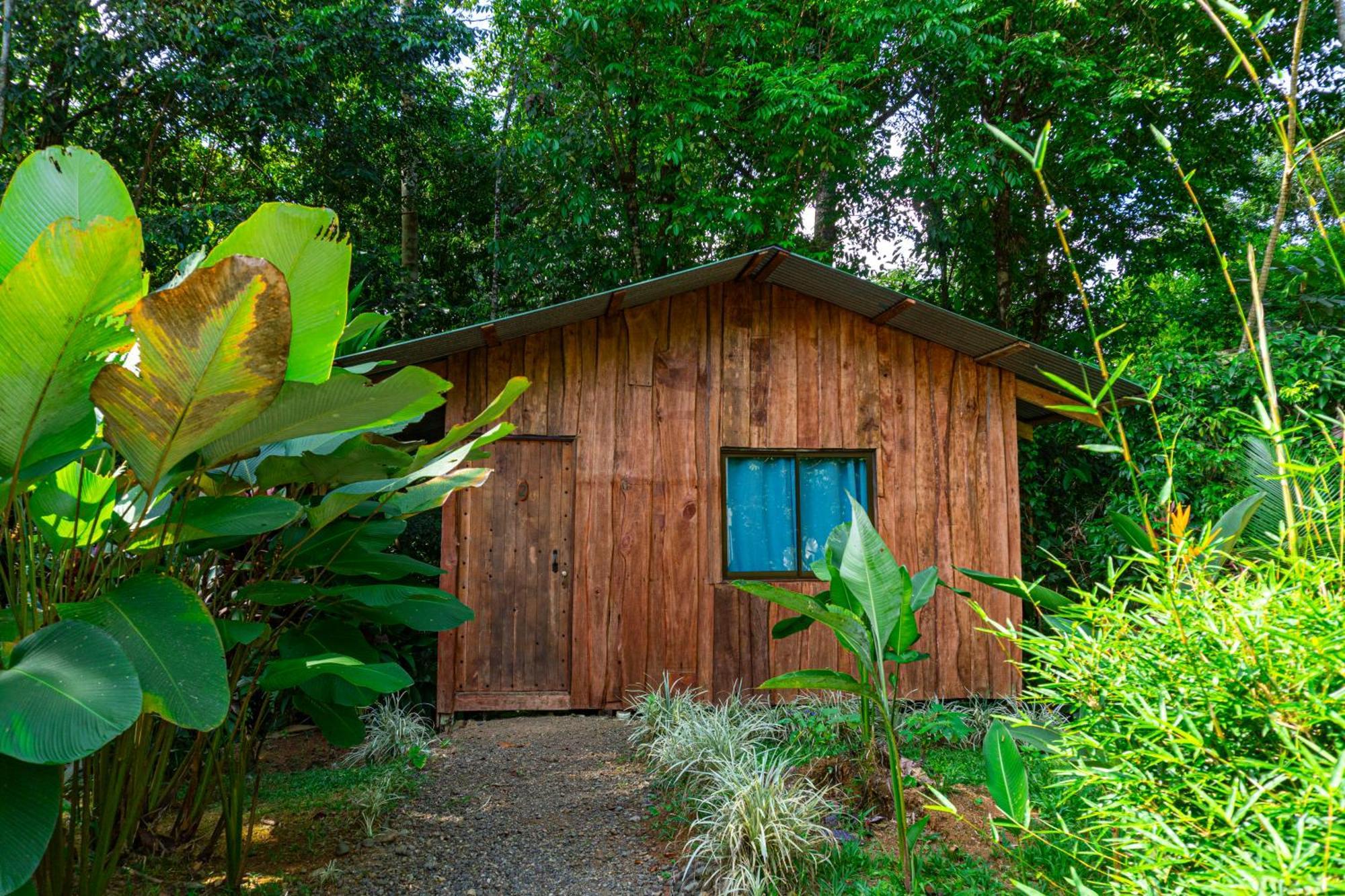 Citronela Lodge Corcovado Drakes Bay Exterior foto