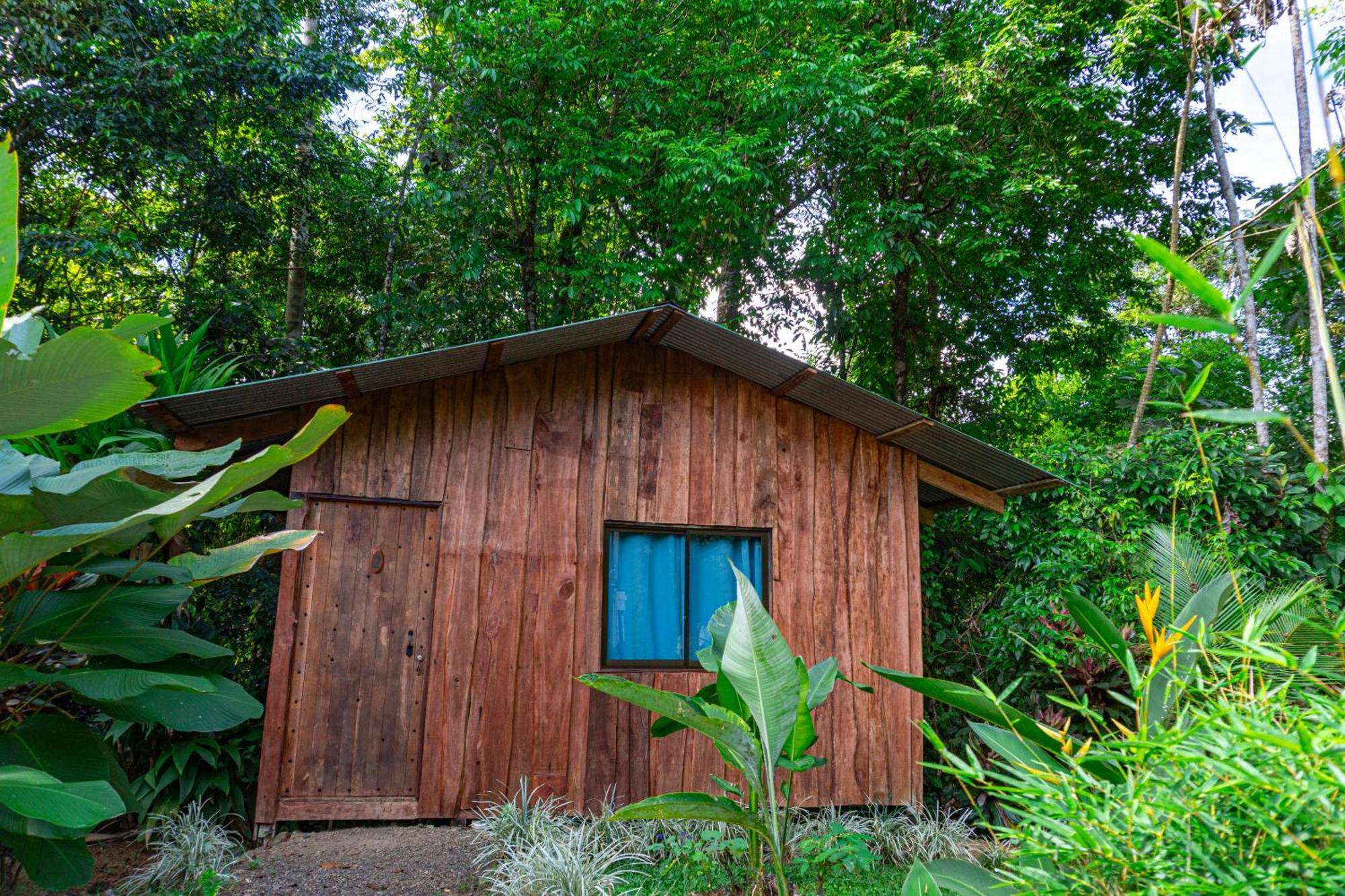 Citronela Lodge Corcovado Drakes Bay Exterior foto